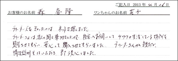 子犬お客様の声