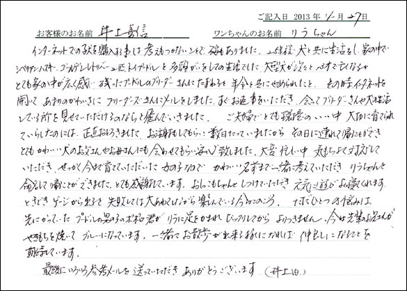 子犬お客様の声