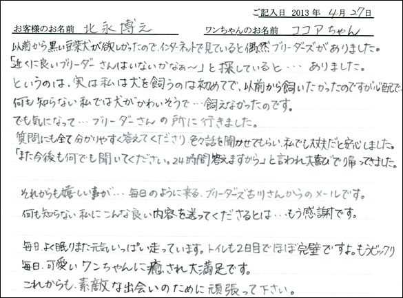 子犬お客様の声