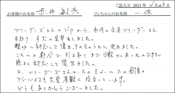 子犬お客様の声