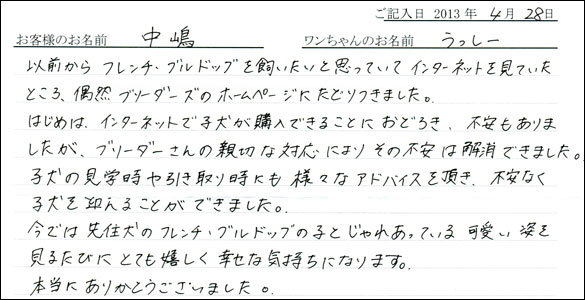 子犬お客様の声
