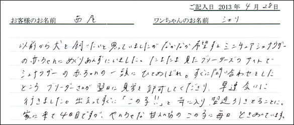 子犬お客様の声