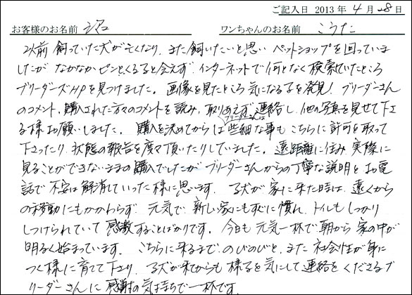 子犬お客様の声