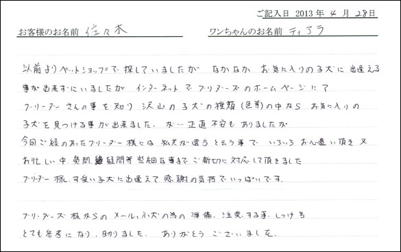 子犬お客様の声