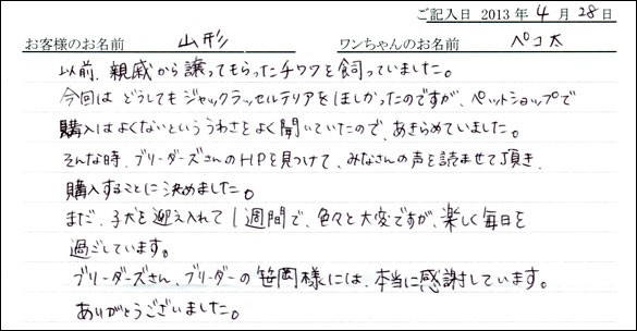 子犬お客様の声