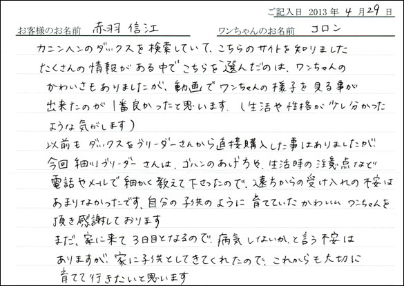子犬お客様の声