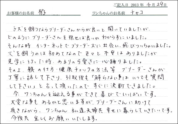 子犬お客様の声