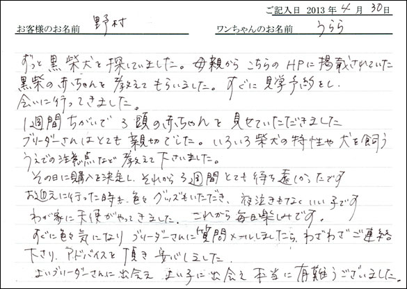 子犬お客様の声