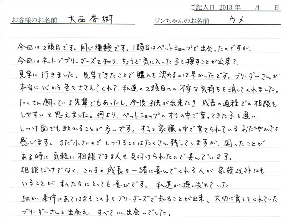 子犬お客様の声