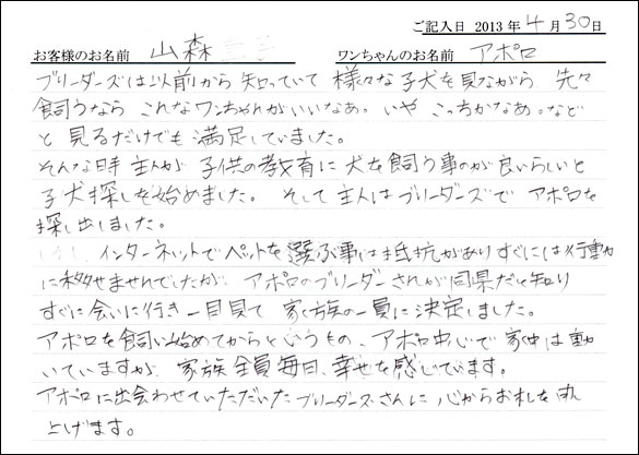 子犬お客様の声