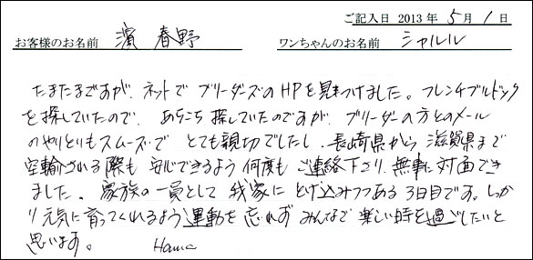 子犬お客様の声