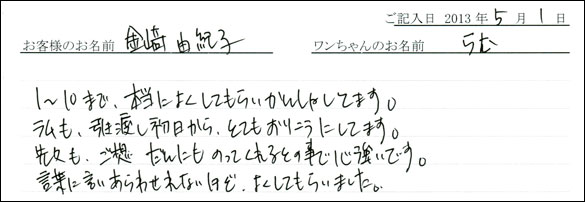 子犬お客様の声