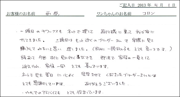 子犬お客様の声