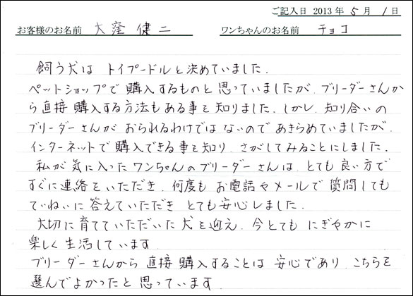 子犬お客様の声