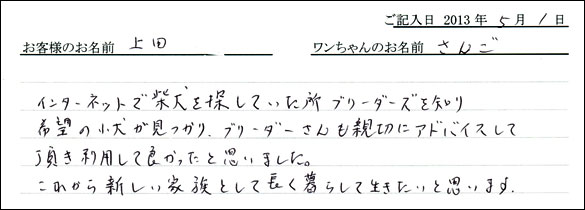 子犬お客様の声