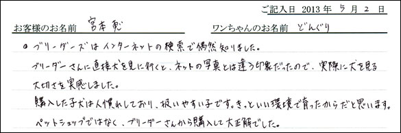 子犬お客様の声