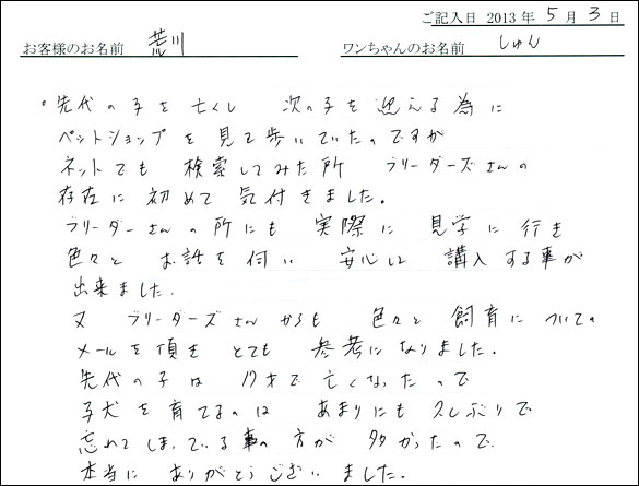 子犬お客様の声