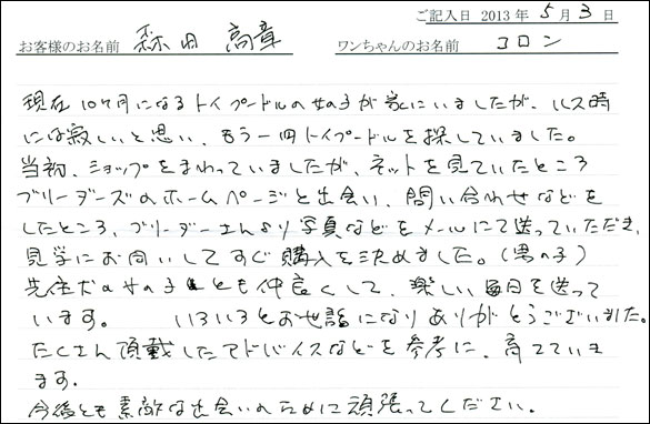 子犬お客様の声