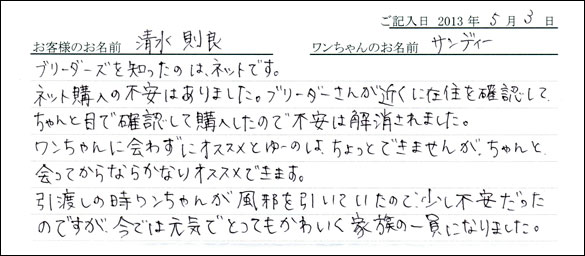 子犬お客様の声