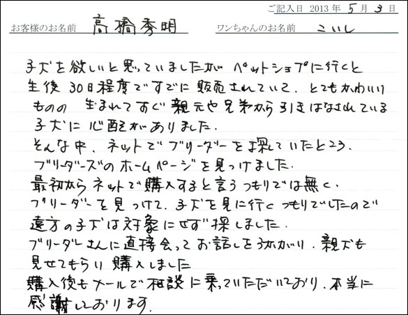 子犬お客様の声