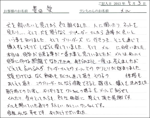 子犬お客様の声