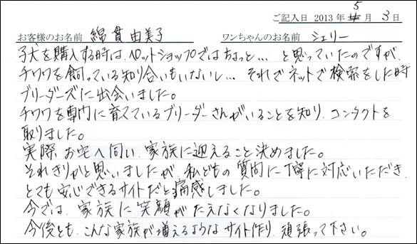 子犬お客様の声