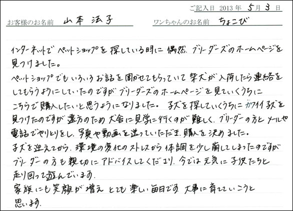 子犬お客様の声