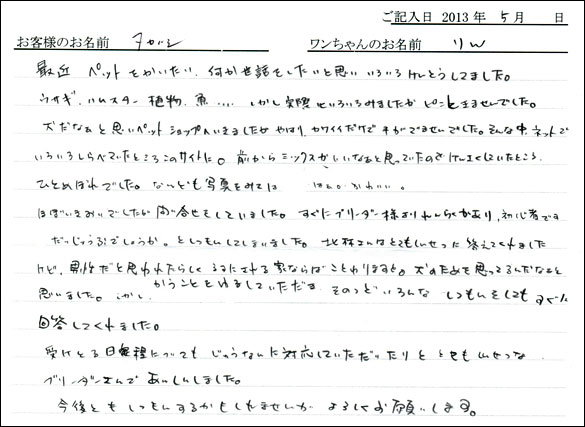 子犬お客様の声