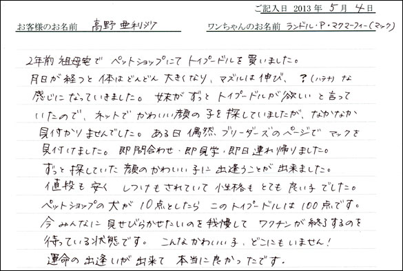 子犬お客様の声