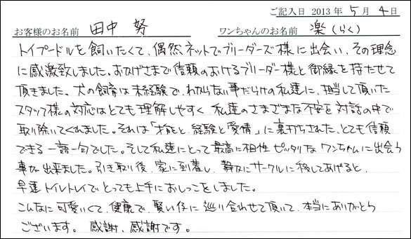 子犬お客様の声