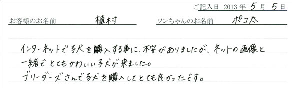 子犬お客様の声
