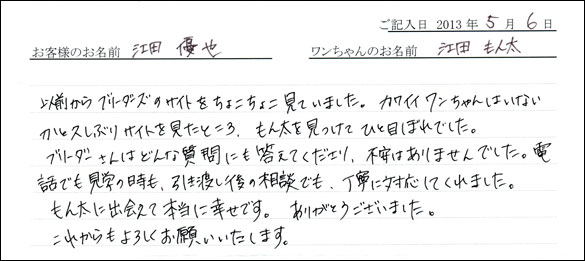 子犬お客様の声