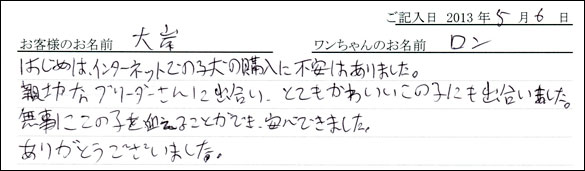 子犬お客様の声