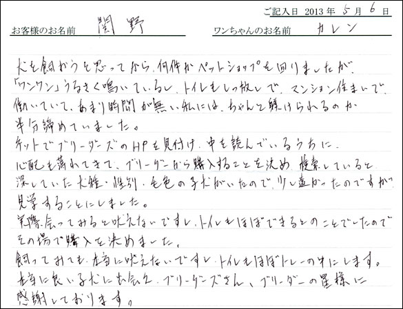 子犬お客様の声
