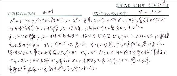 子犬お客様の声