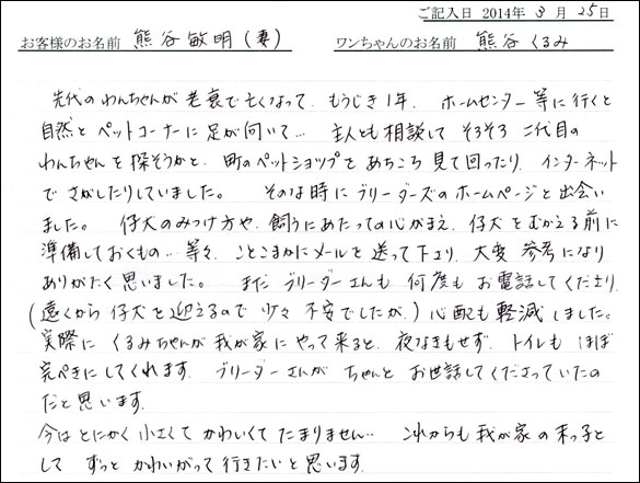 子犬お客様の声