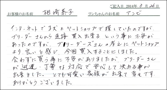子犬お客様の声