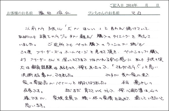 子犬お客様の声