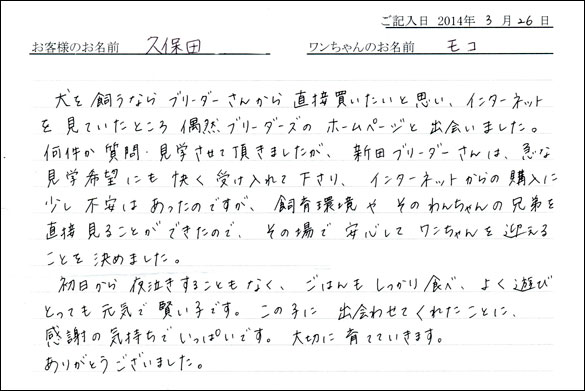 子犬お客様の声