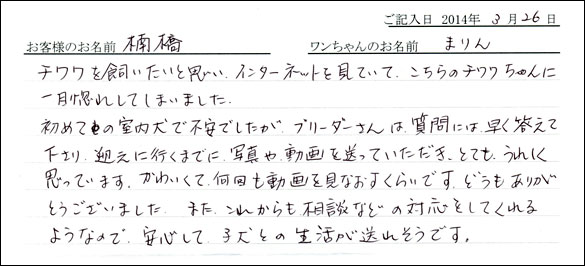 子犬お客様の声