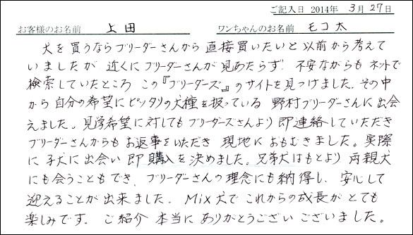 子犬お客様の声