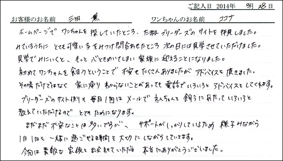 子犬お客様の声