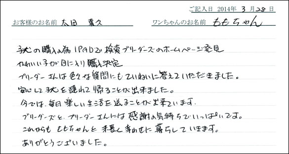 子犬お客様の声