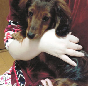 子犬写真