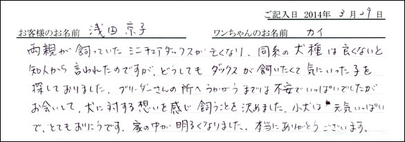 子犬お客様の声