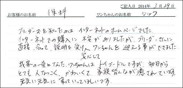 子犬お客様の声