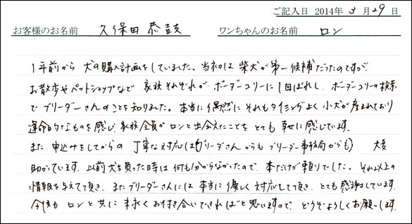 子犬お客様の声