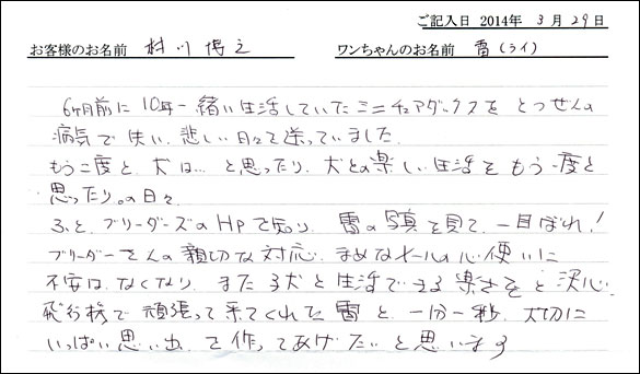 子犬お客様の声