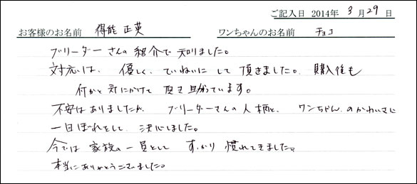 子犬お客様の声