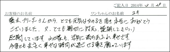 子犬お客様の声